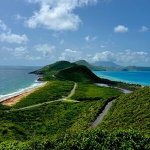 Meet your Posher, Robyn